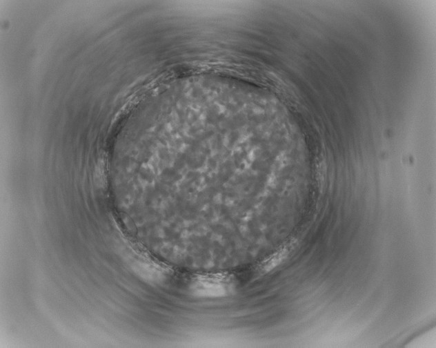 X0000052650757200507221841