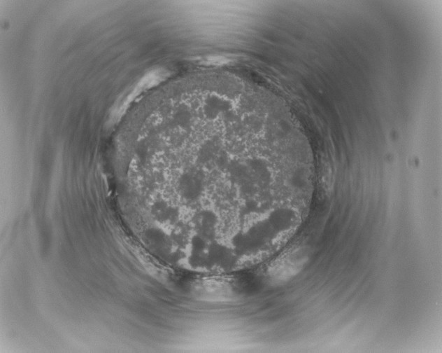 X0000052650758200507221841