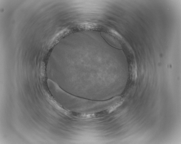 X0000052650760200507221841