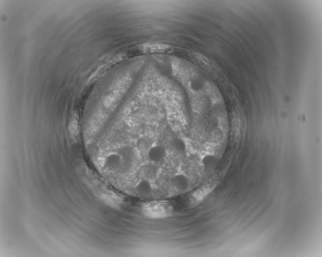 X0000052650761200507221841