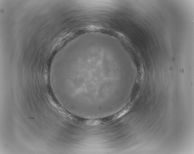 X0000052650762200507221841