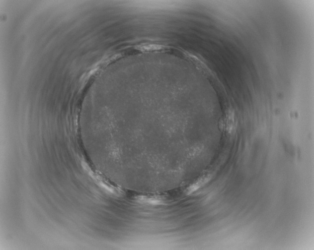 X0000052650763200507221841