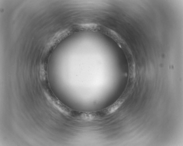 X0000052650764200507221841