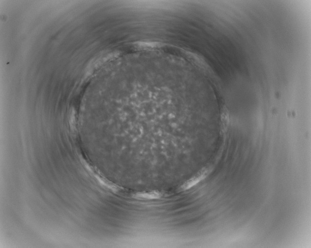 X0000052650765200507221841