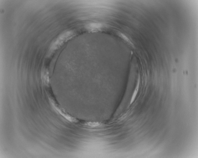 X0000052650766200507221841