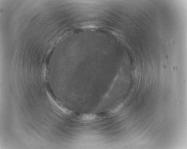 X0000052650767200507221841