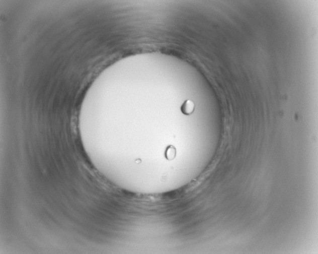 X0000052650768200507221841