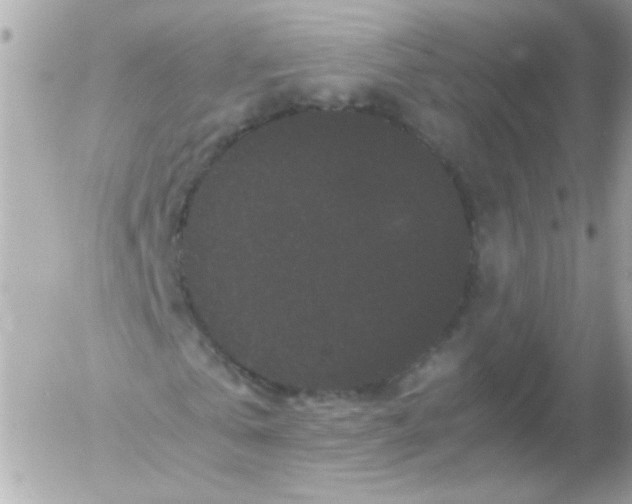 X0000052650769200507221841