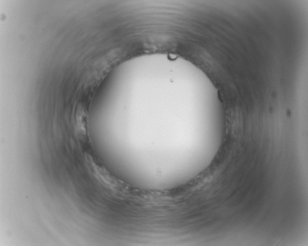 X0000052650770200507221841