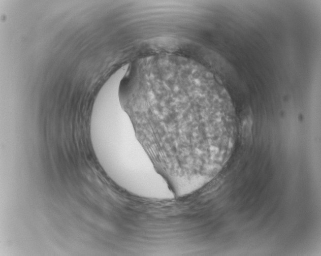 X0000052650772200507221841