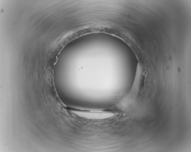 X0000052650773200507221840