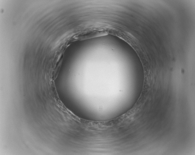 X0000052650774200507221840