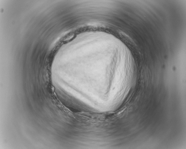 X0000052650776200507221840