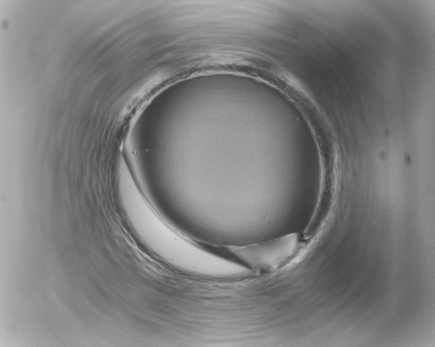 X0000052650777200507221840