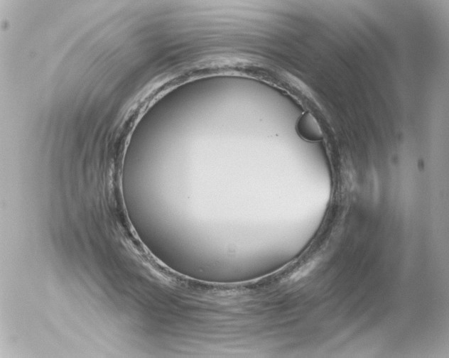 X0000052650778200507221840