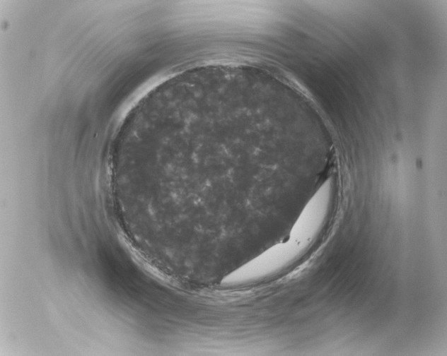 X0000052650779200507221840