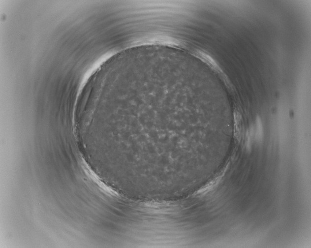 X0000052650780200507221840