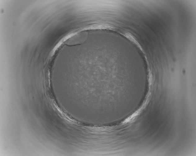 X0000052650781200507221840