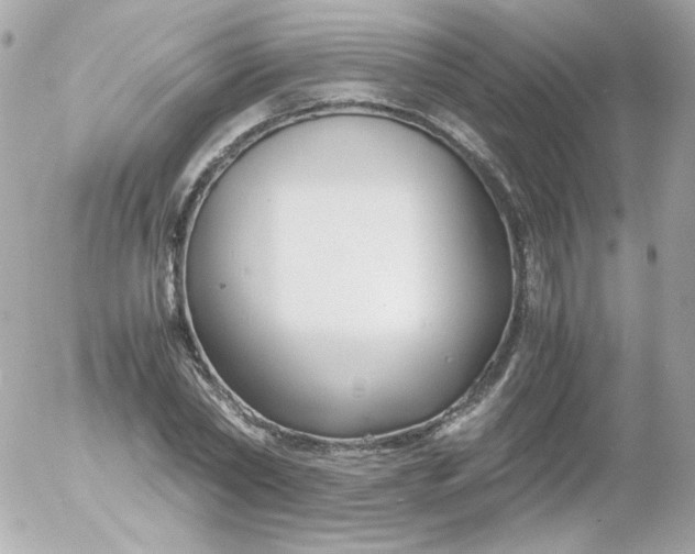 X0000052650782200507221840