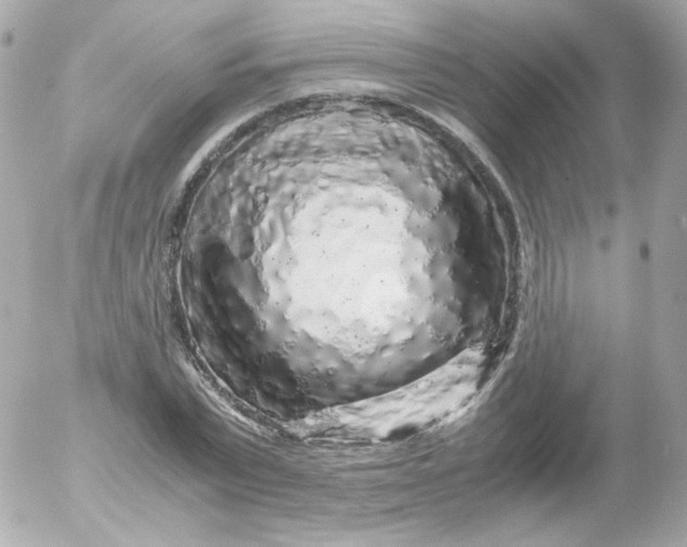 X0000052650783200507221840