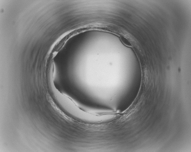 X0000052650784200507221840