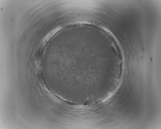 X0000052650785200507221840