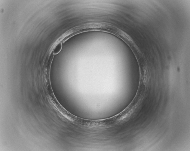 X0000052650786200507221840