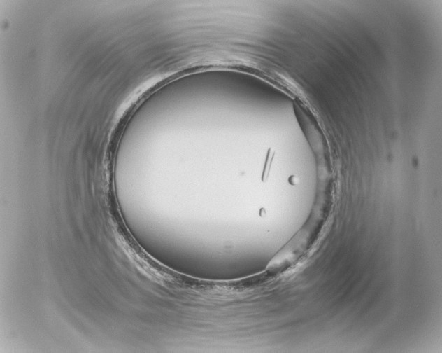 X0000052650787200507221840