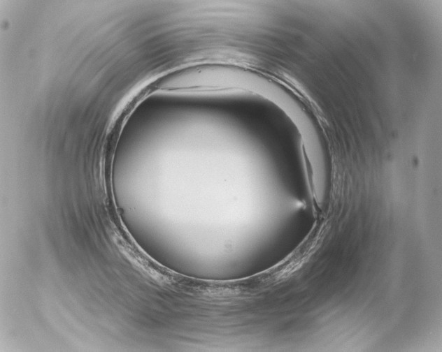 X0000052650788200507221840