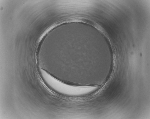 X0000052650789200507221840