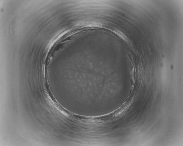 X0000052650790200507221840