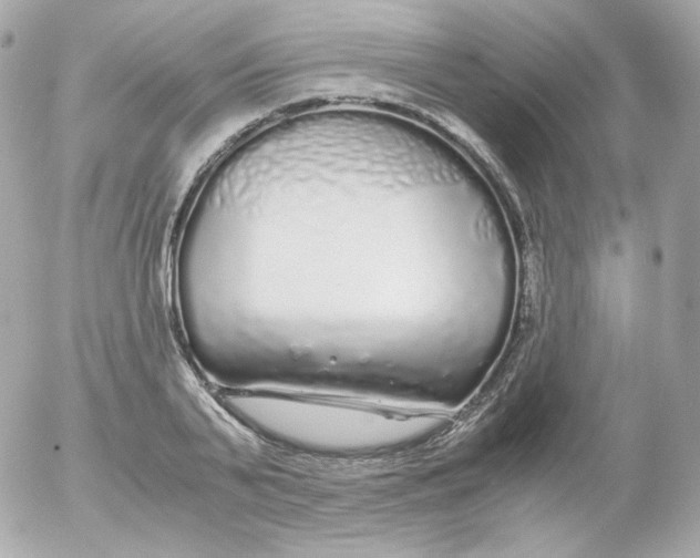 X0000052650791200507221840