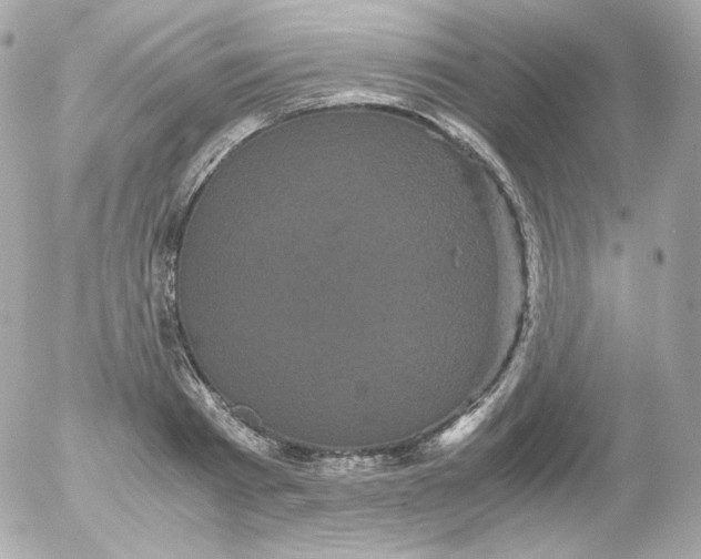 X0000052650793200507221840