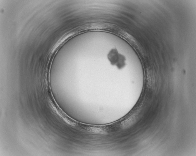 X0000052650794200507221840