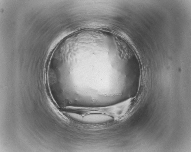 X0000052650795200507221840