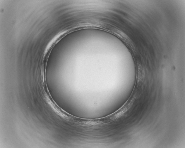 X0000052650796200507221840