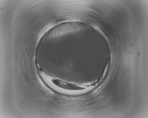 X0000052650797200507221840