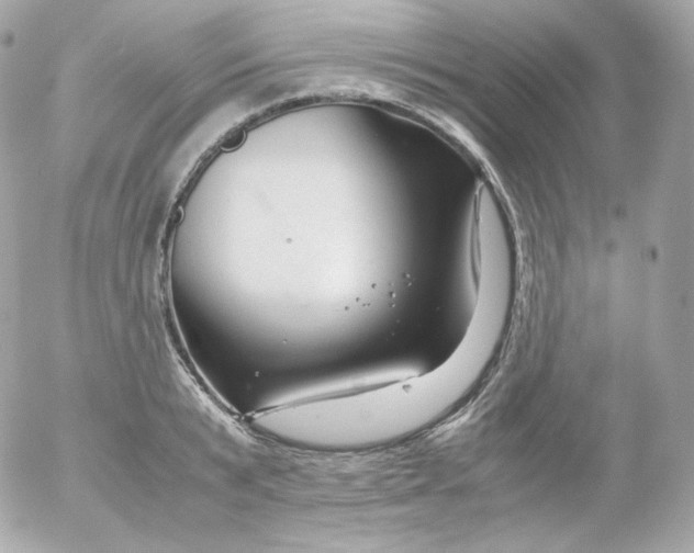 X0000052650799200507221840