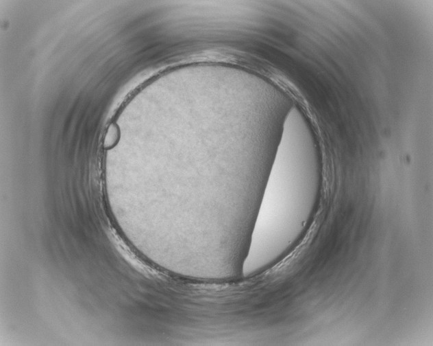 X0000052650800200507221840