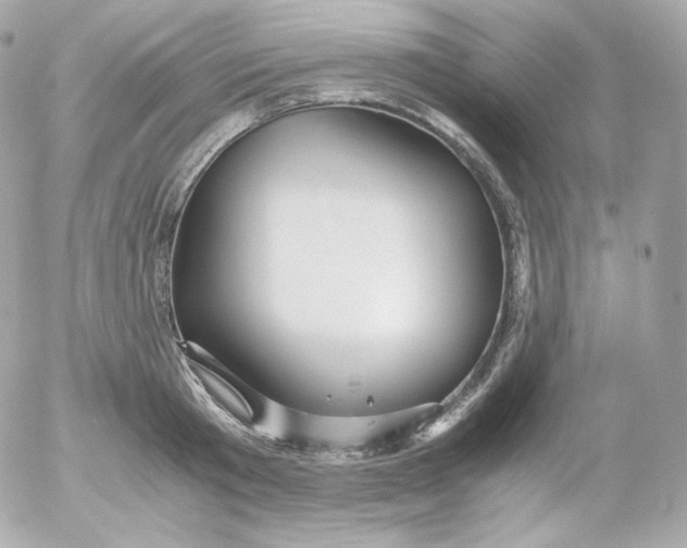 X0000052650801200507221840