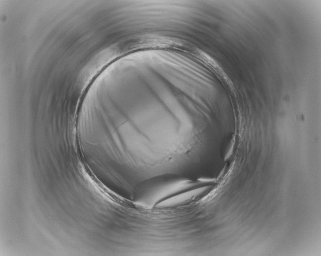 X0000052650802200507221840