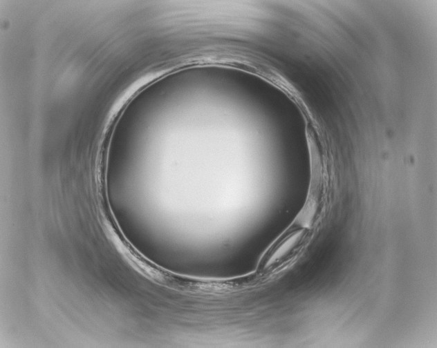 X0000052650803200507221840