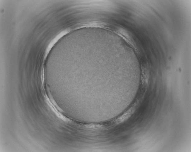 X0000052650804200507221840