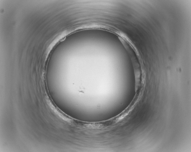 X0000052650805200507221840