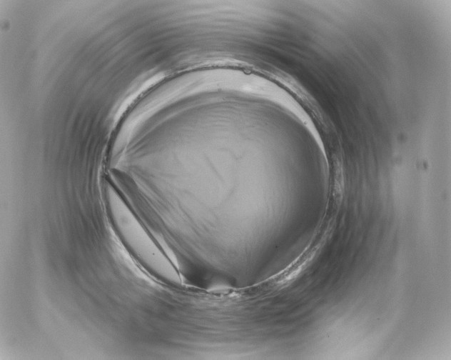 X0000052650806200507221840