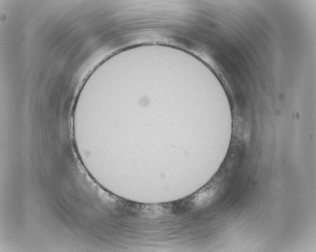 X0000052650807200507221840