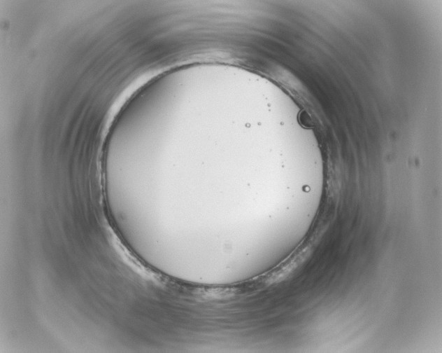 X0000052650808200507221840