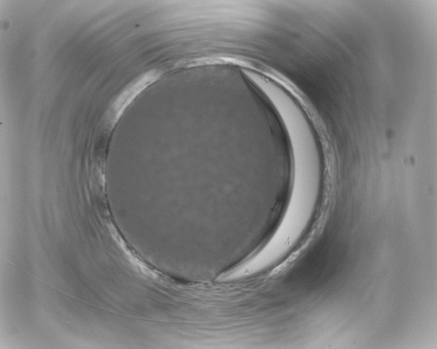 X0000052650809200507221840