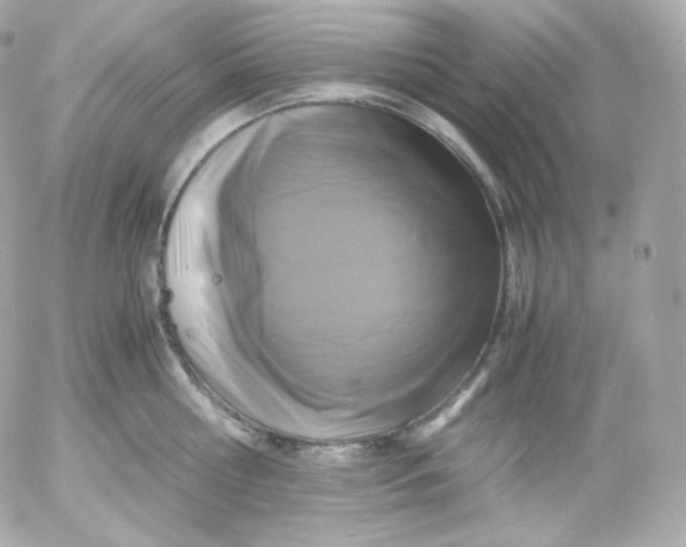 X0000052650810200507221840