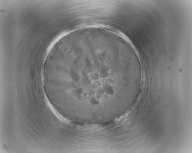 X0000052650811200507221840